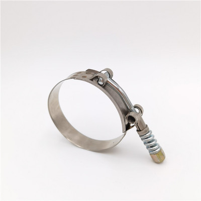 T型弹簧强力喉箍